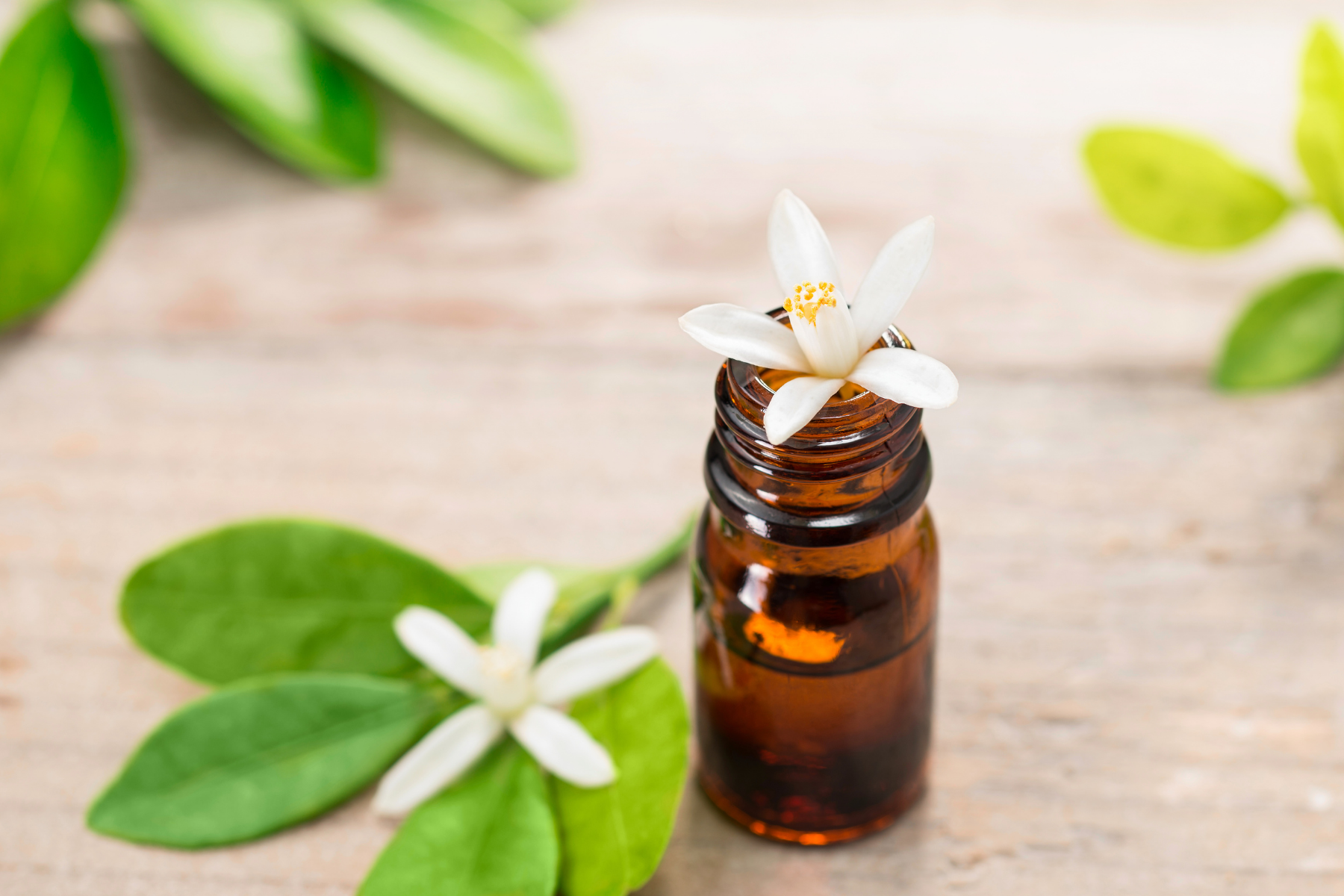 08 Neroli Oil 1